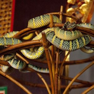 1589452245_5ebd1dd5c9b3a-thumb