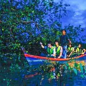 Kelip-Kelip-Kampung-Kuantan-Kuala-Selangor-Mia-Alisa