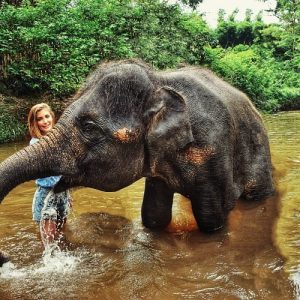 elefante2-01-01-02-01